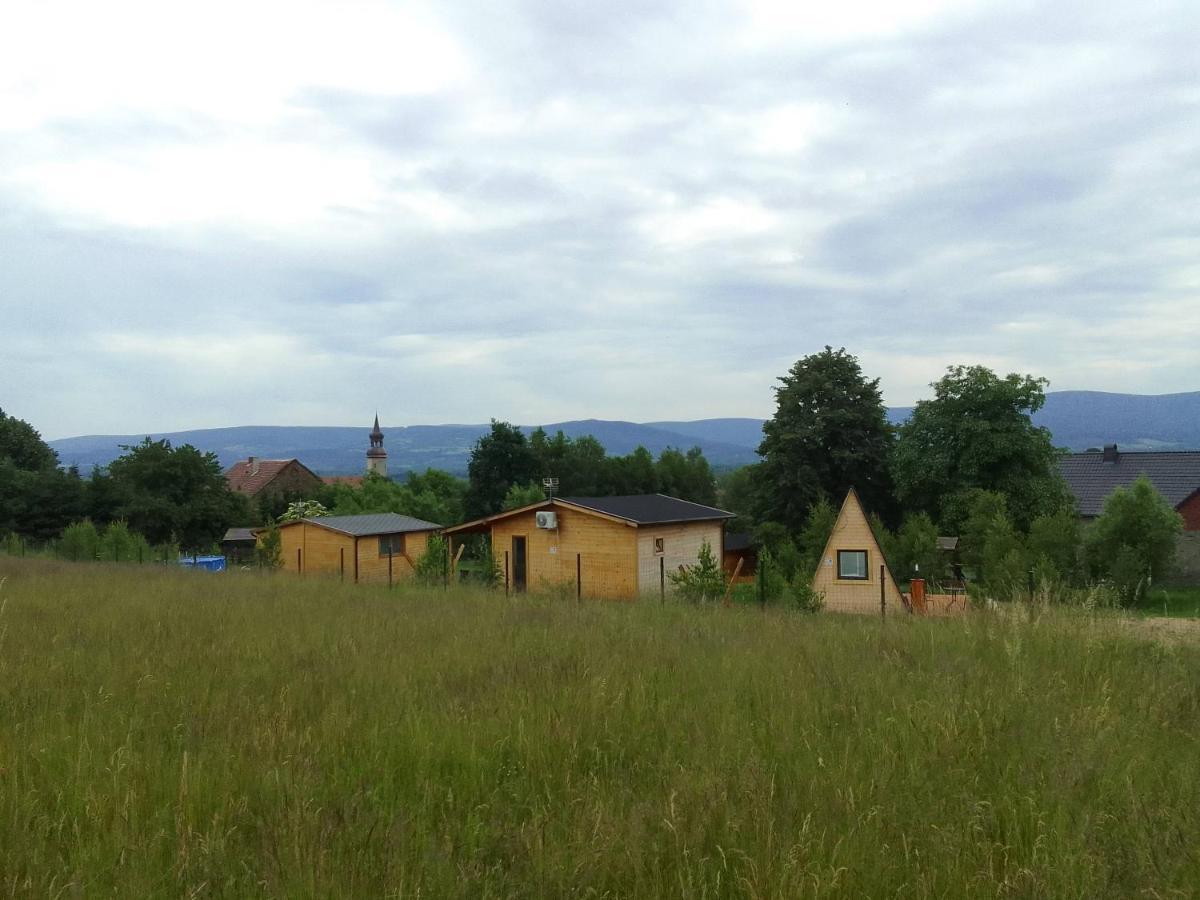 Szalas Izerskie: Górska Agroturystyka z Basenem i Placem Zabaw Mirsk Exterior photo